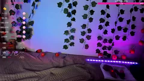 SakuraMio online show from November 27, 11:40 pm