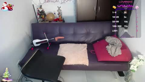 Camila online show from January 1, 6:49 pm