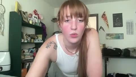 JingerSnap Cookie online show from January 30, 3:51 pm