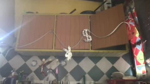 Jony Marta GMT 1400-2000 every day online show from November 24, 1:24 pm