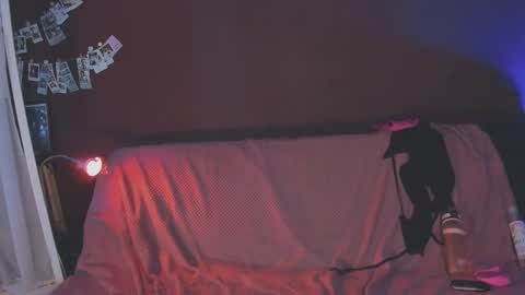 Arina online show from February 13, 12:51 pm