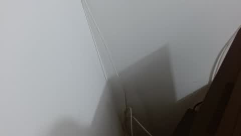 Kamelia  6 am-10 am  4 pm-6 pm online show from January 14, 3:01 am