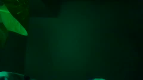 Karla Gonzaless online show from November 13, 7:29 am