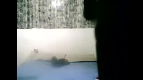 Danna online show from May 30, 8:16 pm