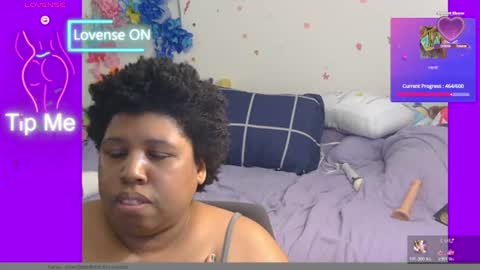 kitten online show from June 15, 2:56 am