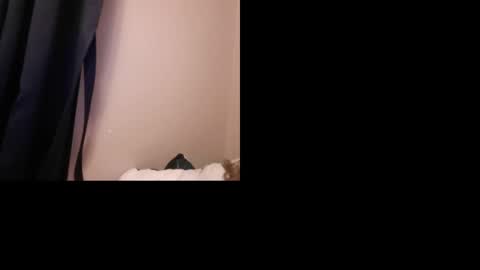 knicole6950 online show from May 10, 6:37 am