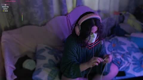 fancy cat online show from November 25, 11:01 am