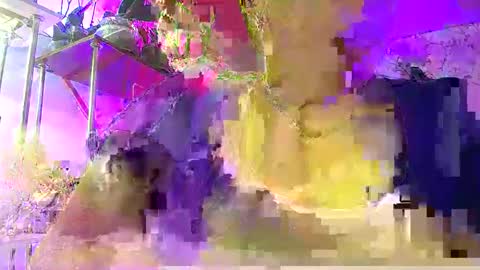 Lady Gloria online show from January 7, 6:06 am