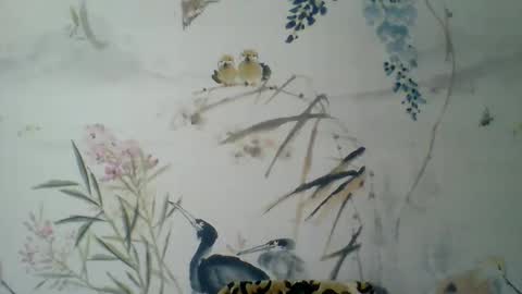 Kira online show from November 7, 11:16 am