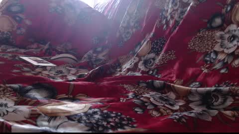 laralhotr online show from January 17, 7:08 am