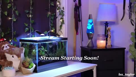 Lex online show from January 16, 2:51 am