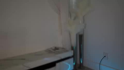 Snapshot of lilbeccaxo chatting on October 8, 5:28 pm Rebecca online show from October 8, 5:28 pm