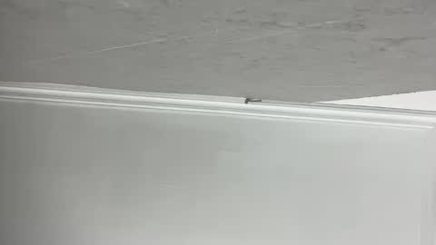 Lilith  online show from November 11, 3:20 pm