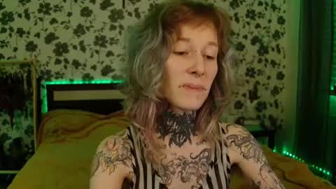 Snapshot of littlespacemouse chatting on October 19, 8:22 pm Niki free tg channel with some photos gifs and info about streams online show from October 19, 8:22 pm