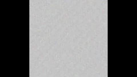 Liz  online show from February 25, 9:31 am