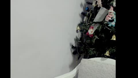 Snapshot of lizz1305 chatting on December 26, 3:20 pm lizz1305 online show from December 26, 3:20 pm