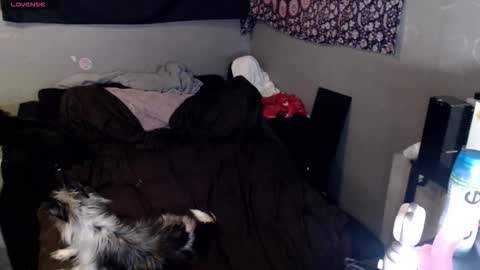 londonray online show from February 16, 7:52 am