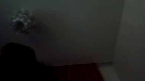 Snapshot of loraflame chatting on January 25, 9:57 pm Lora online show from January 25, 9:57 pm