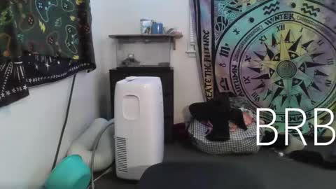 Bigtitsgirl113 online show from January 28, 2:43 am