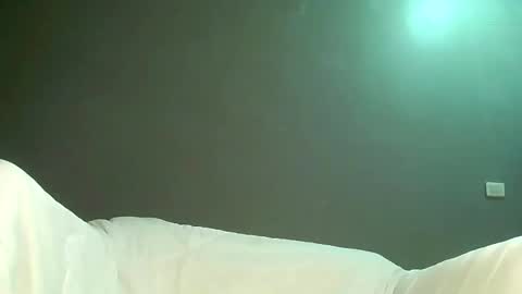 Bee Bee online show from April 17, 4:25 am