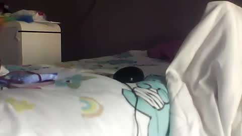 Bee Bee online show from March 24, 3:01 am