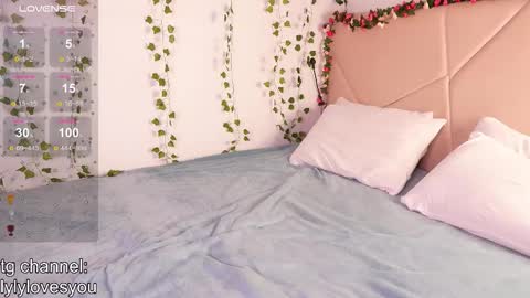 Lyly   online show from November 15, 9:10 am