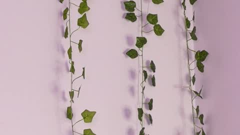 Lyly   online show from October 6, 5:35 am