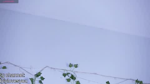 Lyly   online show from November 17, 5:41 am