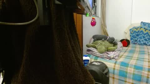 Malita online show from March 22, 2:50 am