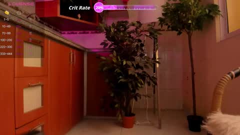 MARA  online show from March 15, 1:24 pm