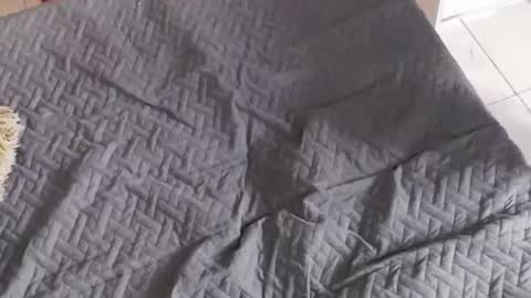 marilynetthan online show from March 11, 2:07 pm