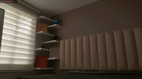     online show from November 12, 12:14 pm