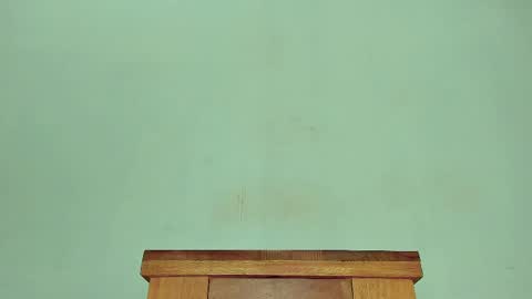 Melania online show from February 27, 1:38 pm