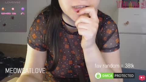 meowcatlove online show from January 23, 9:18 pm