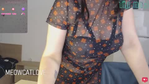 meowcatlove online show from December 24, 9:00 pm