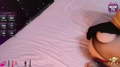 meowkami online show from November 11, 1:34 am