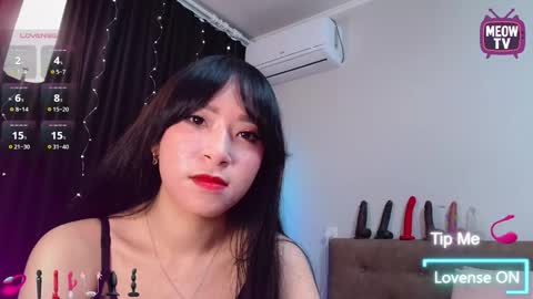 meowkami online show from October 1, 1:10 am