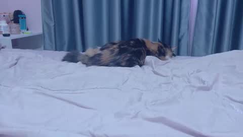 mia_angel online show from November 1, 2:10 pm