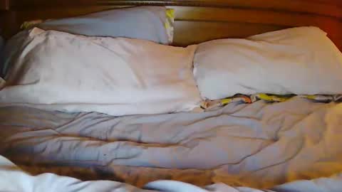 Snapshot of milfytitts chatting on October 21, 1:37 pm milfytitts online show from October 21, 1:37 pm