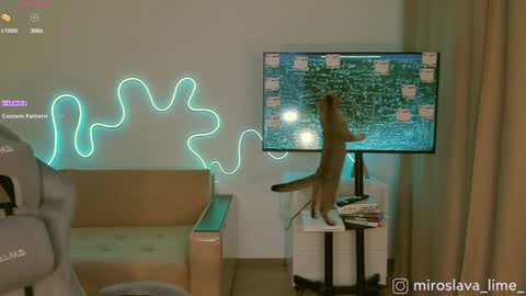 Miroslava online show from January 18, 5:41 am