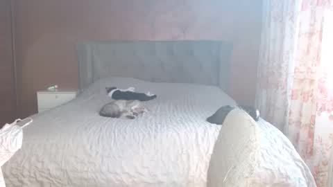 Misha online show from October 24, 10:22 am