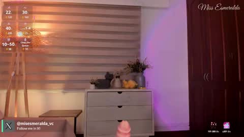 Snapshot of missesmeralda chatting on February 13, 10:54 pm Julieta Arboleda but i like call me esme online show from February 13, 10:54 pm