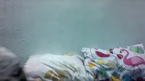 Snapshot of misskitty2xxx chatting on December 8, 3:56 pm Merry online show from December 8, 3:56 pm