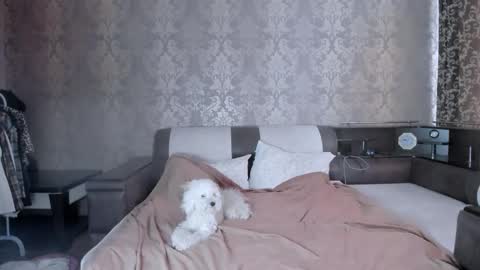 Lili online show from October 12, 11:12 am