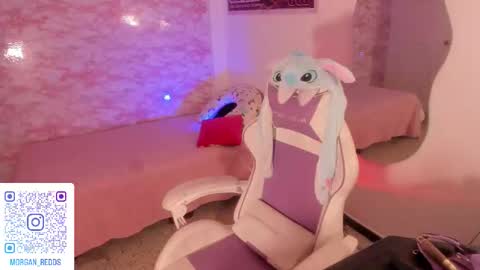 Morgan-Redds online show from November 11, 5:32 pm