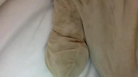 Snapshot of munchi_ chatting on January 29, 1:49 pm   online show from January 29, 1:49 pm