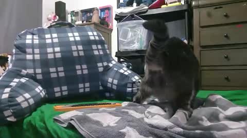 mysteriouswoman18 online show from April 3, 5:33 pm