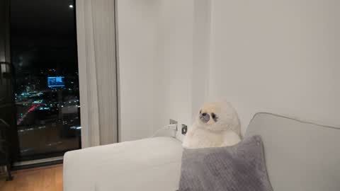 Gigi Chu  online show from January 16, 6:16 pm