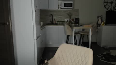 Bella online show from February 21, 12:55 am