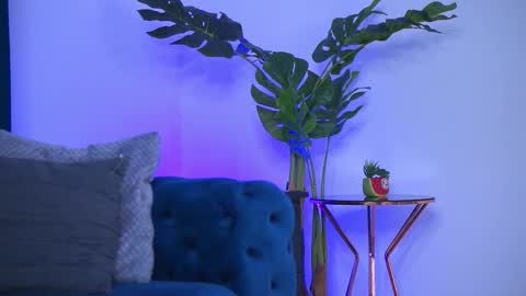 Ninna online show from March 13, 11:39 pm